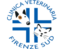 http://www.clinicaveterinariafirenzesud.it